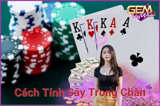 Cách Tính Cây Còn Cây Hết Trong Chắn Và Những Điều Cần Biết